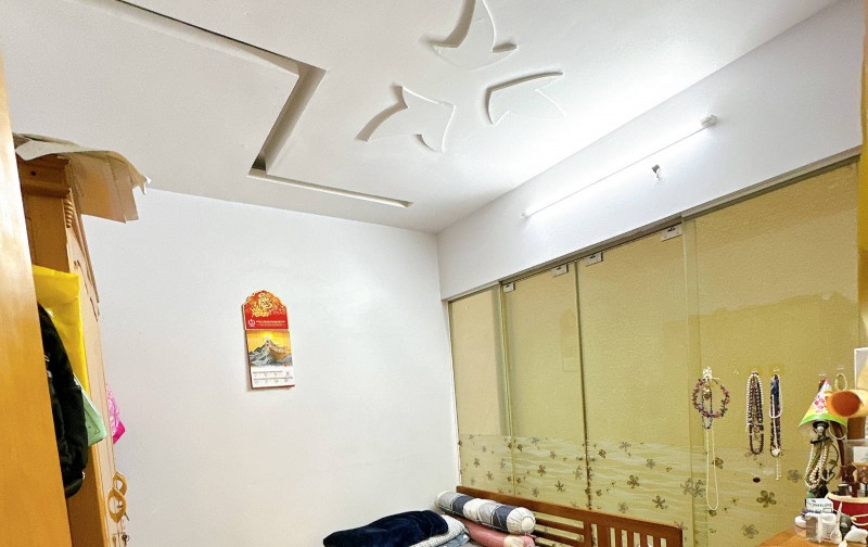 Bán nhà 5 tầng, 48,5 M2, mặt tiền 4M, gara oto - hồ điều hòa Bồ Đề, Long Biên, Hà Nội